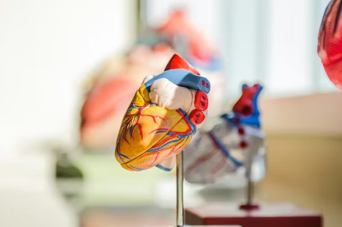 Cardiac & Critical Care